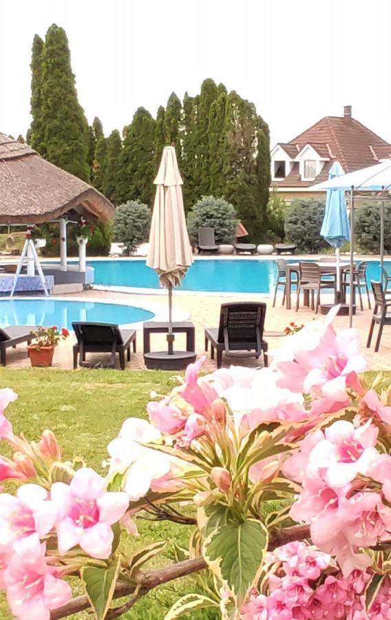 Helena Studio Apartman Siofok Luaran gambar