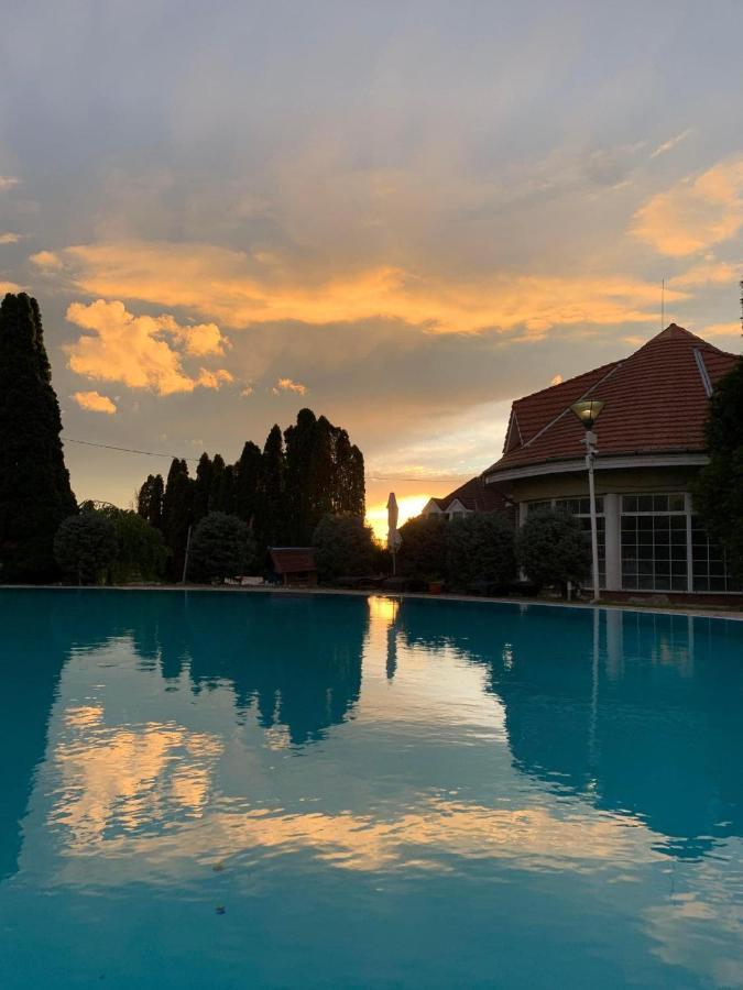 Helena Studio Apartman Siofok Luaran gambar
